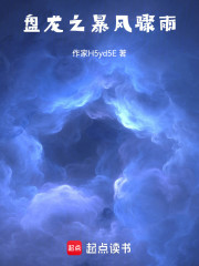盘龙之暴风骤雨