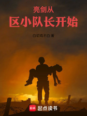 亮剑从区小队长开始