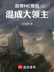 自带MC模组，混成大领主