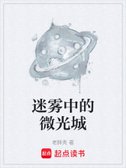 迷雾中的微光城
