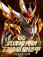 斗罗：武魂极光剑，召唤帝皇铠甲
