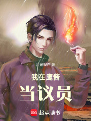 我在鹰酱当议员