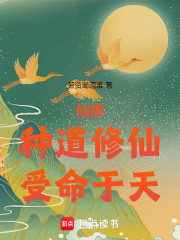 道种仙族