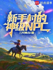 新手村的神级NPC