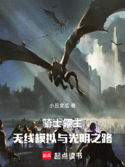 骑士领主：无限模拟与光明之路