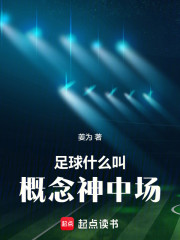 足球：什么叫概念神中场
