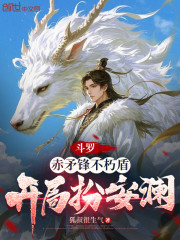 斗罗：赤矛锋不朽盾，开局扮安澜