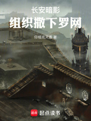 长安暗影，组织撒下罗网