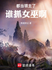 都当领主了谁抓女巫啊