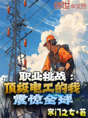 职业挑战：顶级电工的我震惊全球
