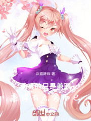 我真的只是兼职，兼得有点多而已