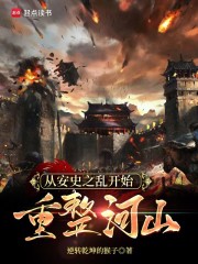 从安史之乱开始重整河山