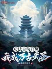 功法自动升级，我成万古武圣