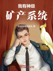 我有神级矿产系统