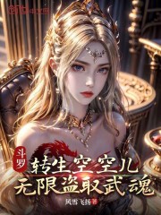 斗罗：转生空空儿，无限盗取武魂