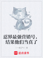 忍界最强营销号，结果他们当真了