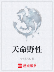 天命野性