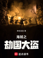 海贼之劫国大盗