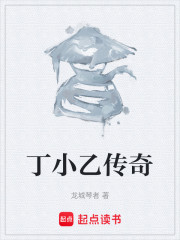 丁小乙传奇