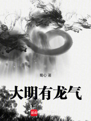 大明有龙气