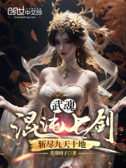 武魂混沌七剑，斩尽九天十地