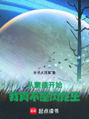 原神：从蒙德开始，我真不是风神
