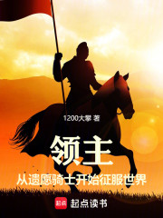 领主：从成为遗愿骑士开始