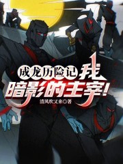 成龙历险记：我，暗影的主宰！