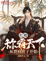 红楼：称霸天下，从贾府庶子开始