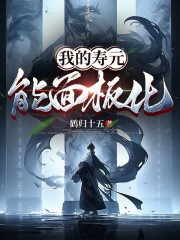 我的寿元能面板化