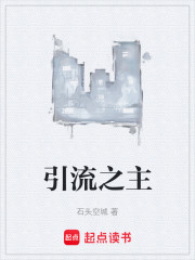 引流之主