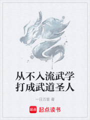 从不入流武学打成武道圣人