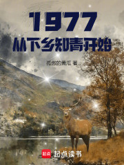 1977，从下乡知青开始