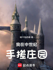 我在中世纪手搓庄园