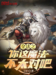 全法之你这魔法不太对吧