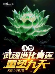 斗罗：武魂造化青莲，重塑九天
