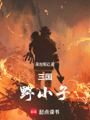 三国：野小子