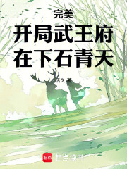 完美：开局武王府，在下石青天！