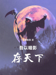 吾以暗影存天下