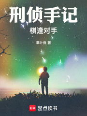 刑侦手记：棋逢对手