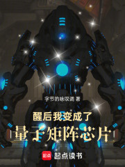 醒后，我变成了量子矩阵芯片！