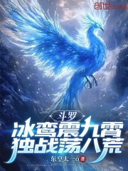 斗罗：冰鸾震九霄，独战荡八荒
