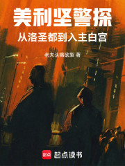 美利坚警探：从洛圣都到入主白宫