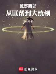 荒野西部：从匪帮到大统领