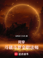 同穿：斗破斗罗全职法师在线阅读