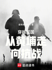 穿越民国从黄埔走向抗战