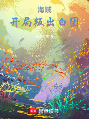 海贼：开局叛出白团