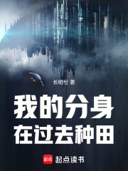 我的分身在过去种田