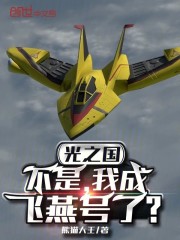 光之国：不是，我成飞燕号了？