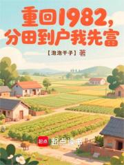 重回1982，分田到户我先富